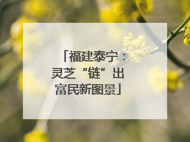 福建泰宁：灵芝“链”出富民新图景